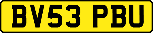 BV53PBU