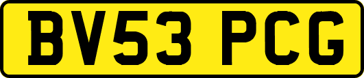 BV53PCG