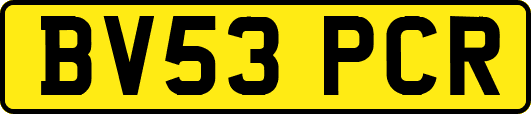 BV53PCR
