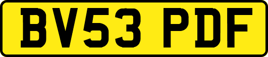 BV53PDF
