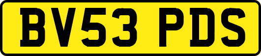 BV53PDS