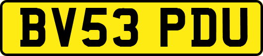 BV53PDU