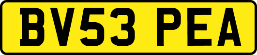 BV53PEA