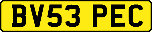 BV53PEC