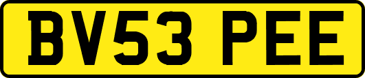 BV53PEE