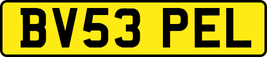 BV53PEL