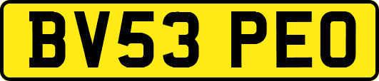 BV53PEO