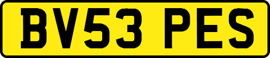 BV53PES