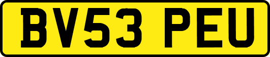BV53PEU