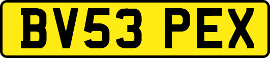 BV53PEX