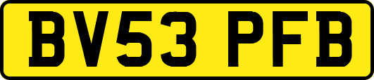 BV53PFB