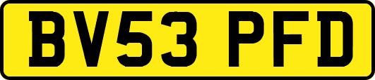 BV53PFD