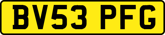 BV53PFG