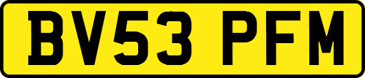 BV53PFM