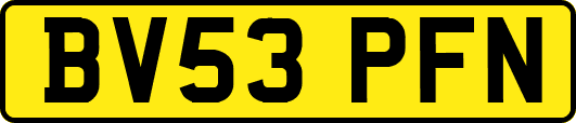 BV53PFN