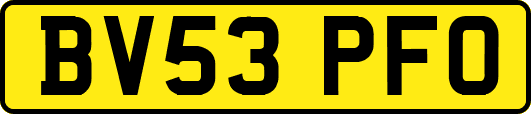 BV53PFO