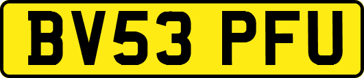 BV53PFU