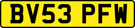 BV53PFW