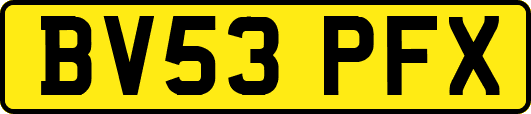 BV53PFX