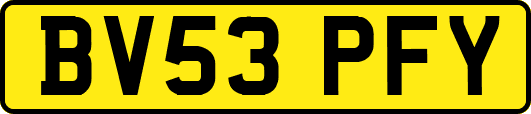 BV53PFY