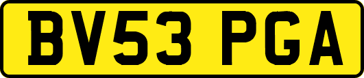 BV53PGA