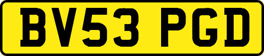 BV53PGD