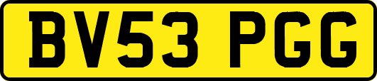 BV53PGG