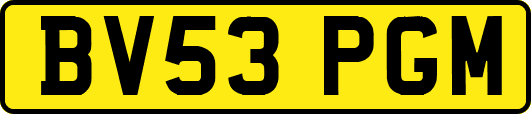 BV53PGM