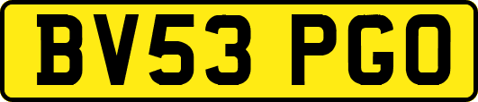 BV53PGO