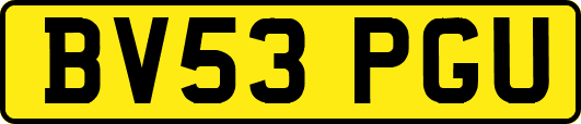 BV53PGU