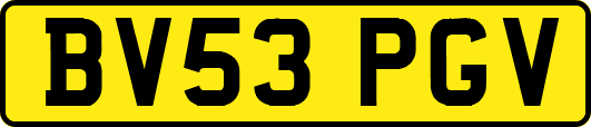 BV53PGV