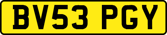 BV53PGY