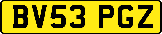 BV53PGZ