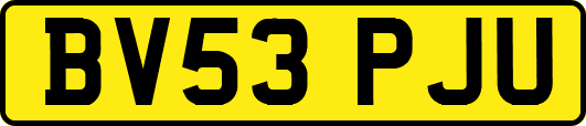 BV53PJU