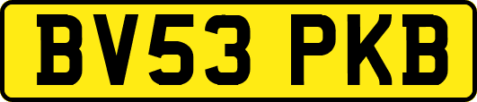 BV53PKB