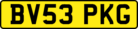 BV53PKG