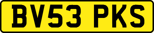 BV53PKS