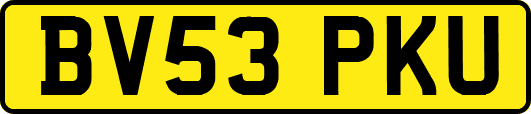 BV53PKU