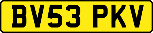 BV53PKV