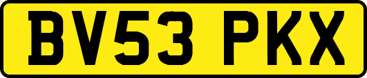 BV53PKX