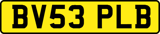 BV53PLB