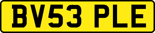 BV53PLE