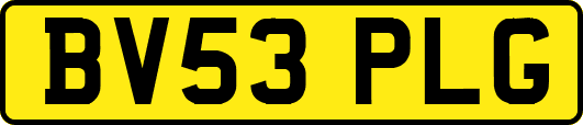 BV53PLG