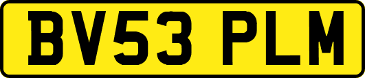 BV53PLM