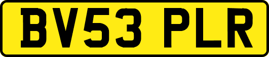 BV53PLR