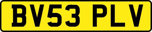 BV53PLV