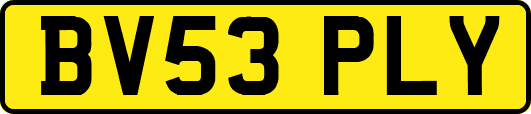 BV53PLY