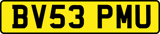 BV53PMU