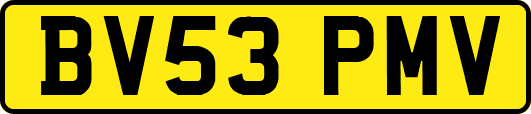 BV53PMV
