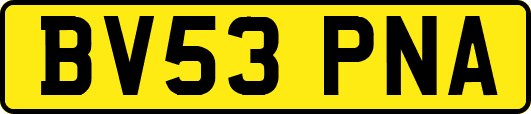 BV53PNA